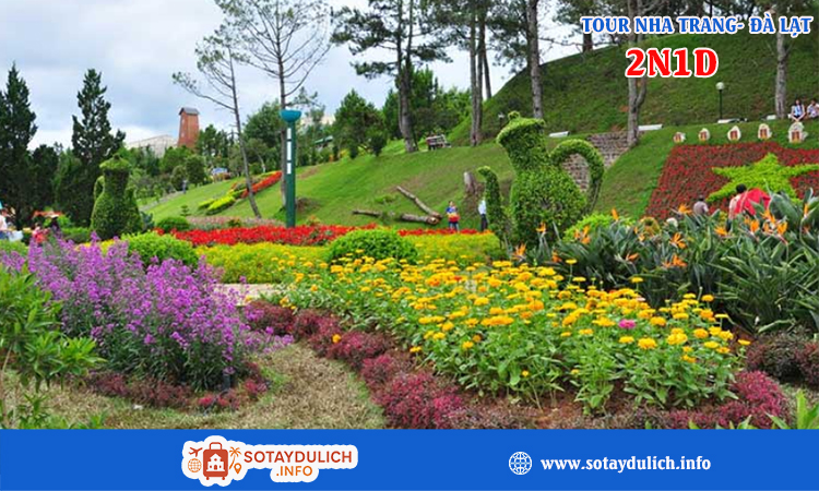 Tour Nha Trang - Đà Lạt 2 ngày 1 đêm