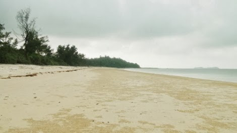 Nét hoang sơ của bãi biển