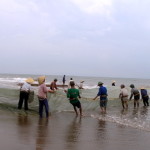 Du lịch Sầm Sơn-Cùng ngư dân “kéo rùng” bắt cá lúc bình minh